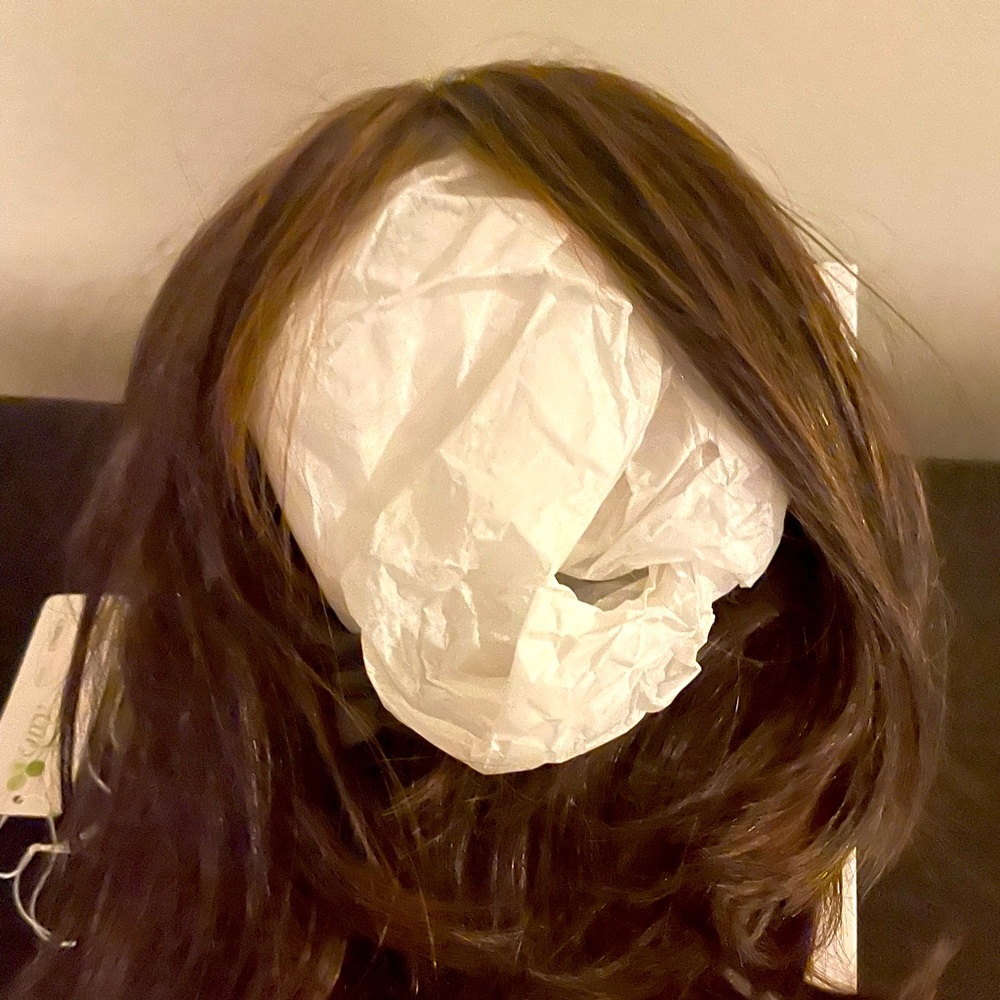 Envy Lyndsey Brown Wig Blended Hair Wig.